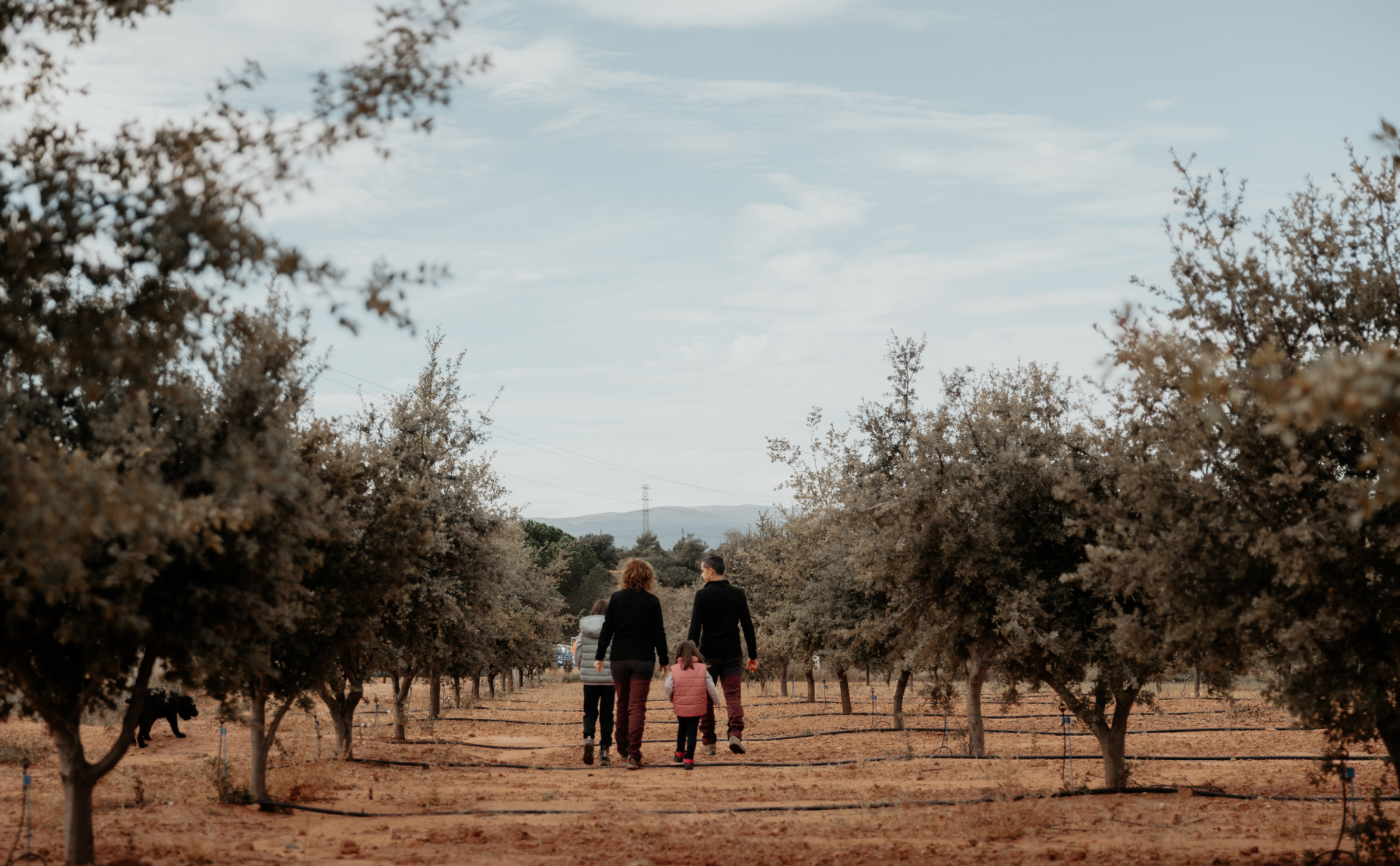 pura-trufa-gallery-2