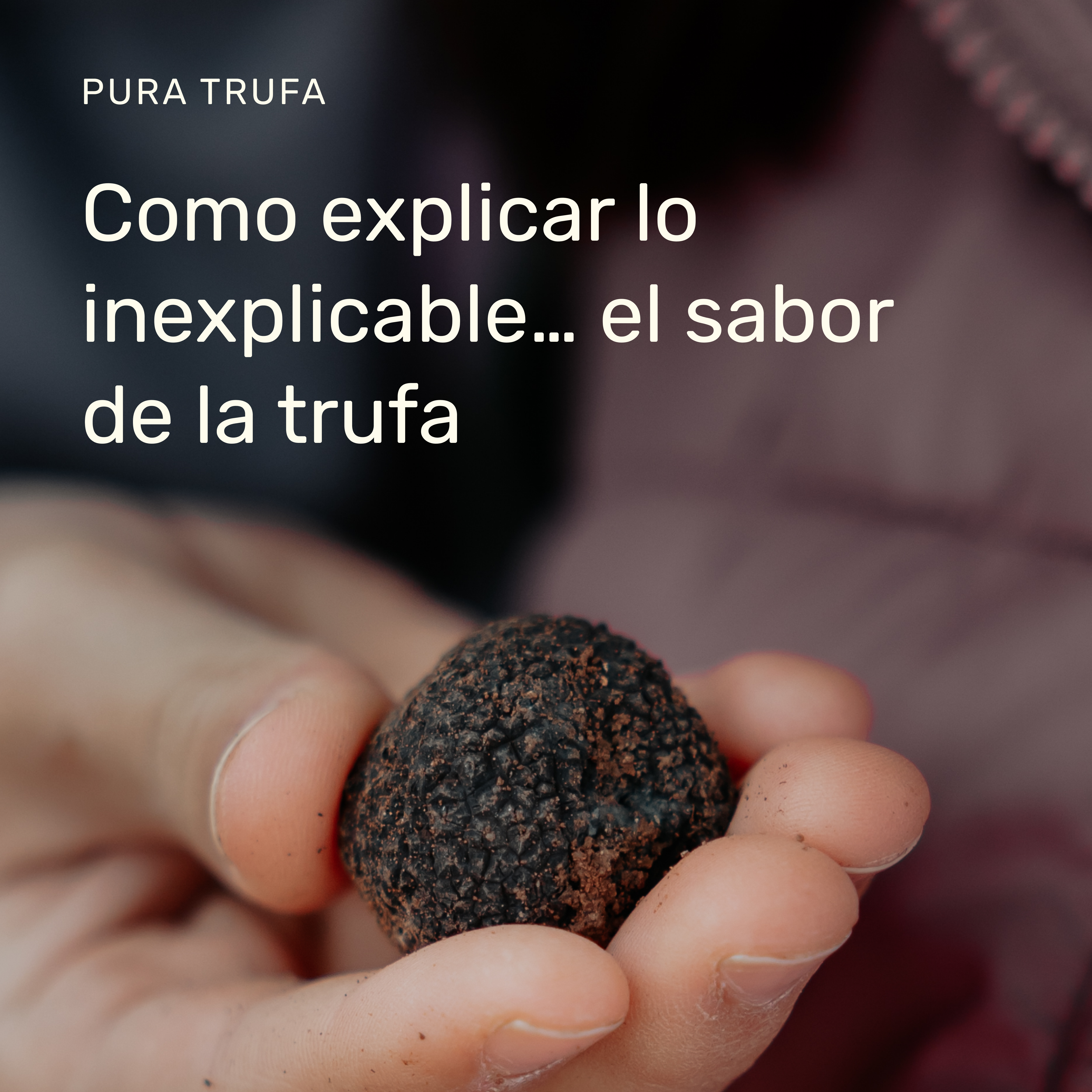 Trufa negra fresca recién extraída de la tierra, producto gourmet exclusivo con aroma intenso y sabor único.