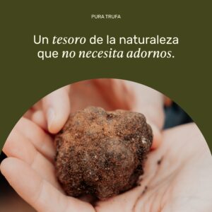 Trufa negra fresca sostenida en una mano, ingrediente gourmet de aroma intenso que da origen a los auténticos productos con trufa natural de Pura Trufa.