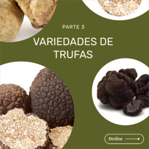 Composición de diferentes variedades de trufa fresca gourmet, incluyendo trufa negra y trufa blanca.