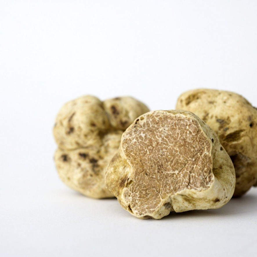 Portada visual inspirada en el universo de la trufa gourmet, creada para mostrar la exclusividad, el aroma y la sofisticación de las diferentes variedades de trufa fresca.